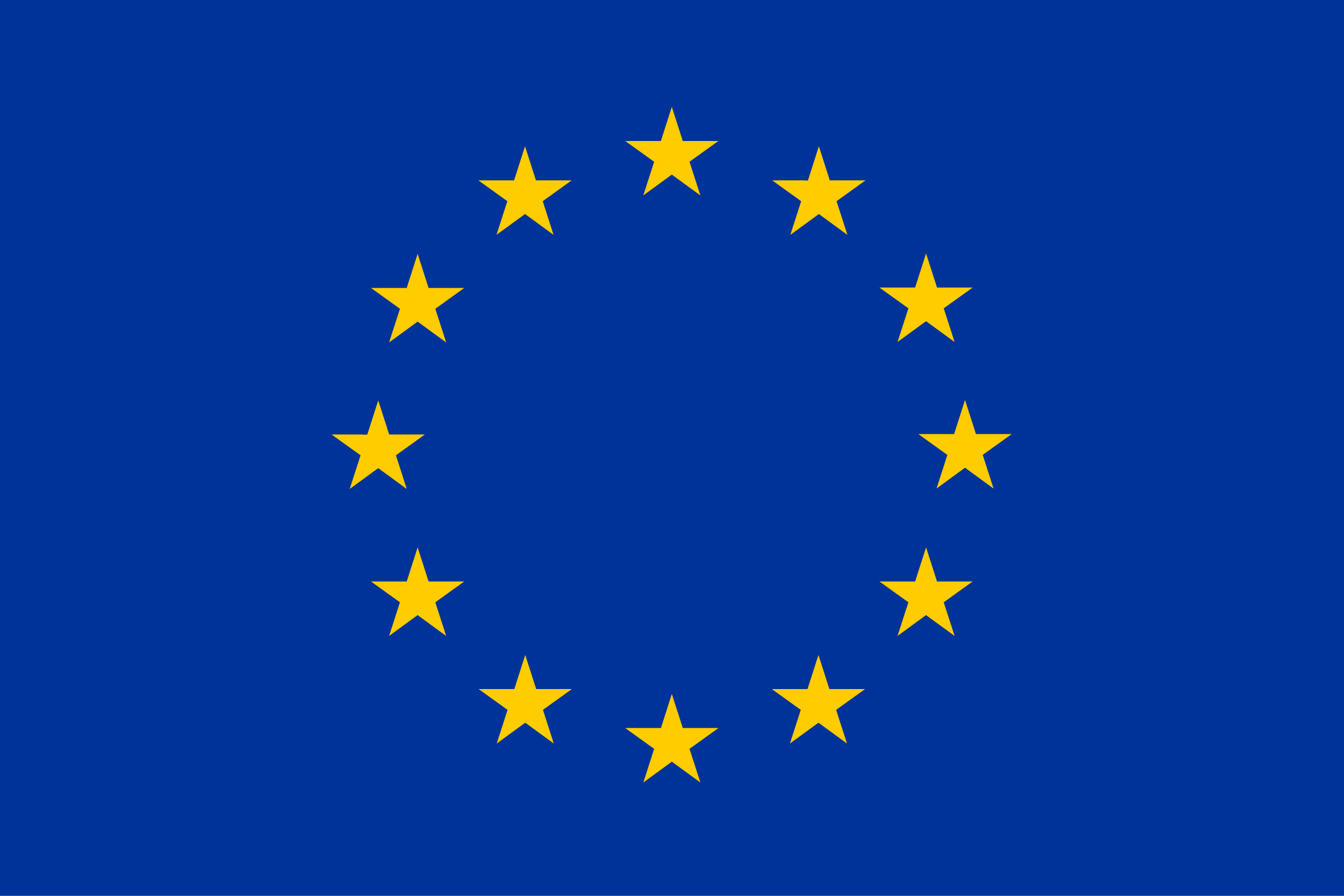 European flag